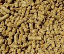 Broiler Feed
