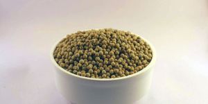 White Pepper Seeds