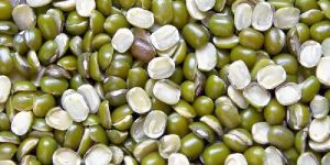 Processed Green Split Moong Dal