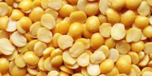 Processed Toor Dal