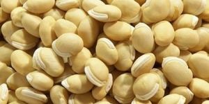 Val Beans