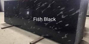 Fish Black Granite Slabs