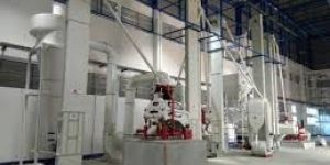 Coffee Dry Processing Plant