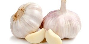 Raw Garlic