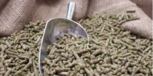 Organic Fish Feed Pellet