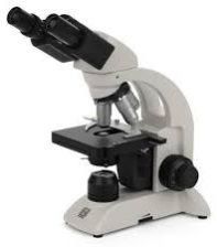 Microscope