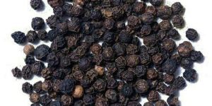 Organic Black Pepper Seeds