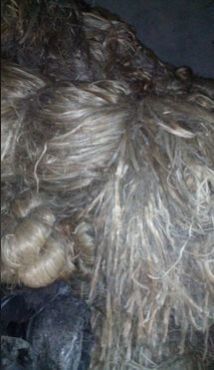 Raw Jute