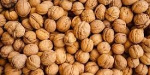 Shelled Walnuts