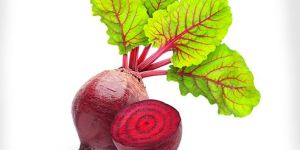 Fresh Beetroot