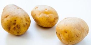 Natural Fresh Potato