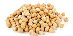 Organic Chickpeas