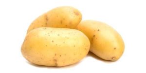 Organic Fresh Potato