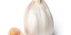 Raw Fresh Garlic