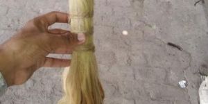 Horse Tail and Goat Hair