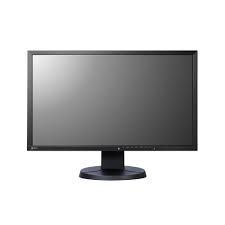 Computer Monitor