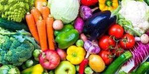 Fresh Vegetables