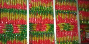 Fluorescent Rubber Bands