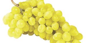 Fresh Grapes