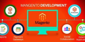 Magento Customization Services
