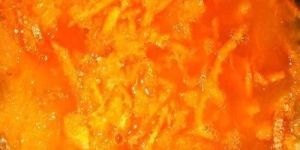 Concentrated Orange Pulp