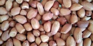Groundnut, Bold Peanuts