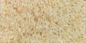 Organic Ponni Rice