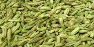 Fennel Seeds