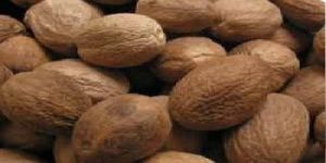 Nutmeg