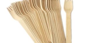 Areca Leaf Forks
