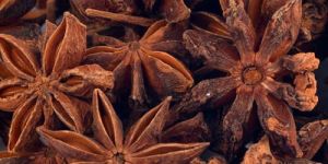 Star Anise