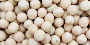 White / Yellow Peas