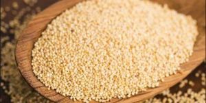 White Poppy Seeds (Khas Khas)