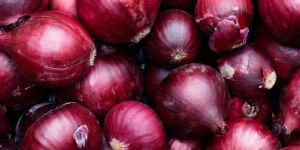 Fresh Natural Onion