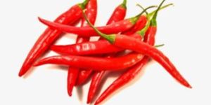 Spicy Red Chilli