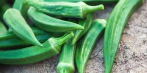 Fresh Okra