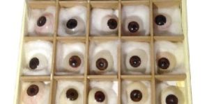 Dr.Onic Prosthetics Eyes