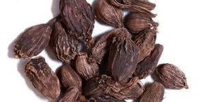 Organic Black Cardamom