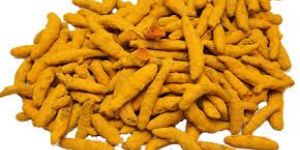 Organic Turmeric Finger