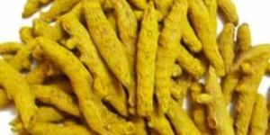 Pure Turmeric Finger