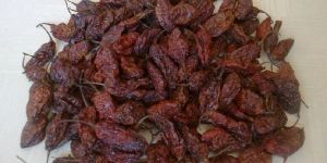 Smoke Dried Bhut Jolokia Chilli