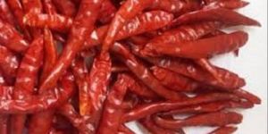 Raw Dried Red Chilli