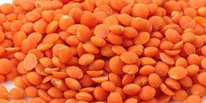 Red Masoor Dal