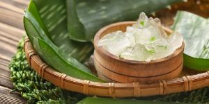 Fresh Aloe Vera Pulp