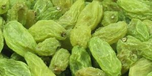 Green Raisins