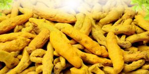 Natural Turmeric Finger