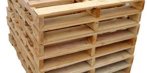 Jungle Wooden Pallet