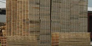 Soft Wooden Pallet