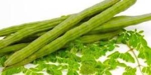 Fresh Green Drumsticks