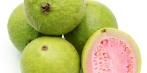 Fresh Organic Guava
